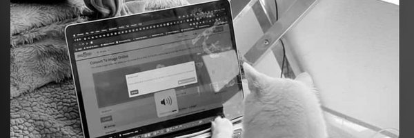 muizz_okunade Profile Banner