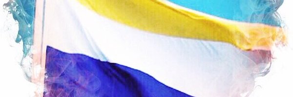 Tornedalian Profile Banner