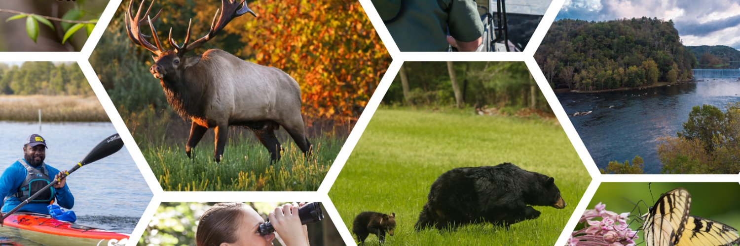 Virginia Department of Wildlife Resources banner