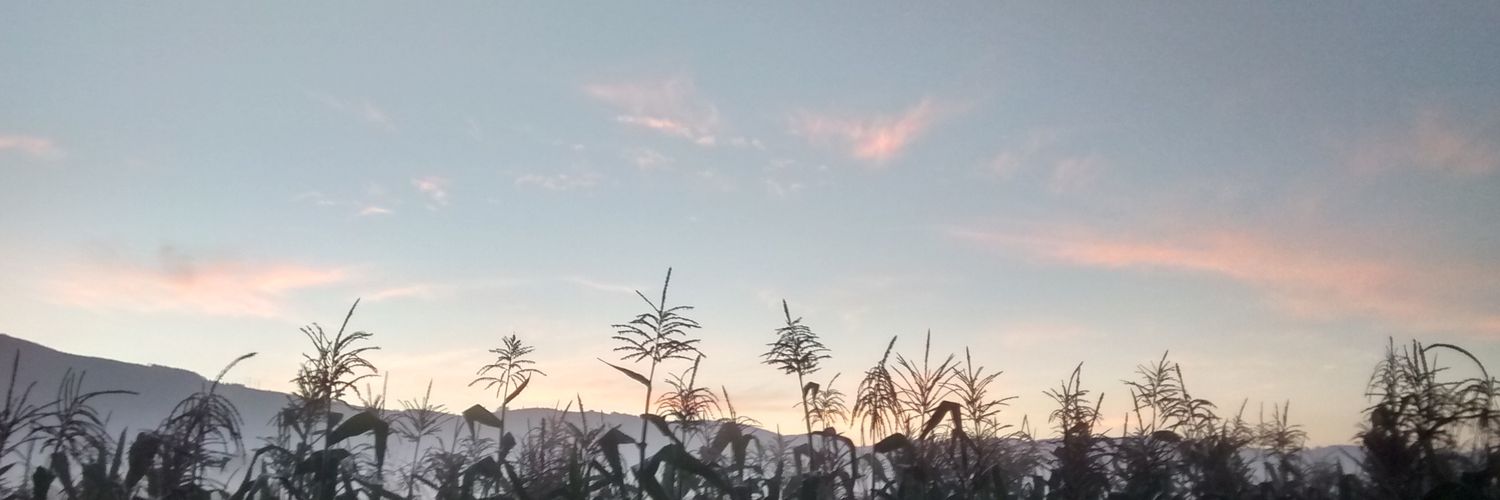 aisz1983's profile banner image