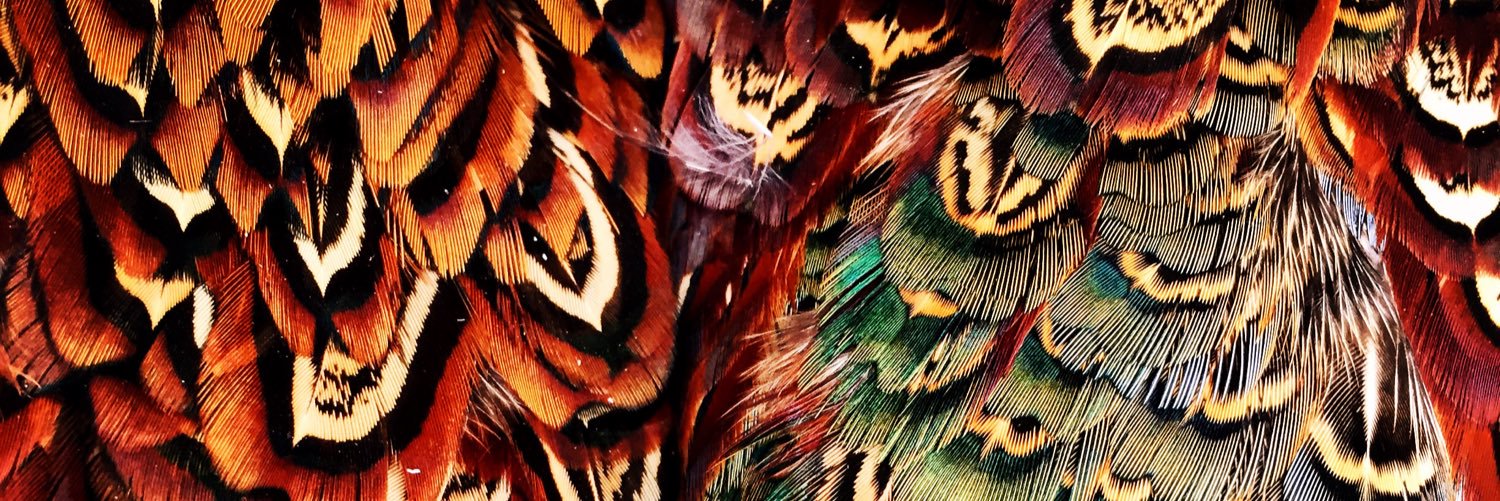 chrisrstam's profile banner image