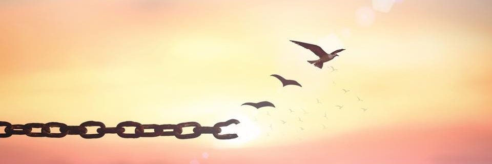 Ambrooosia's profile banner image
