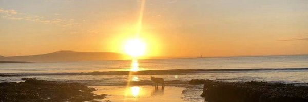 krqps Profile Banner