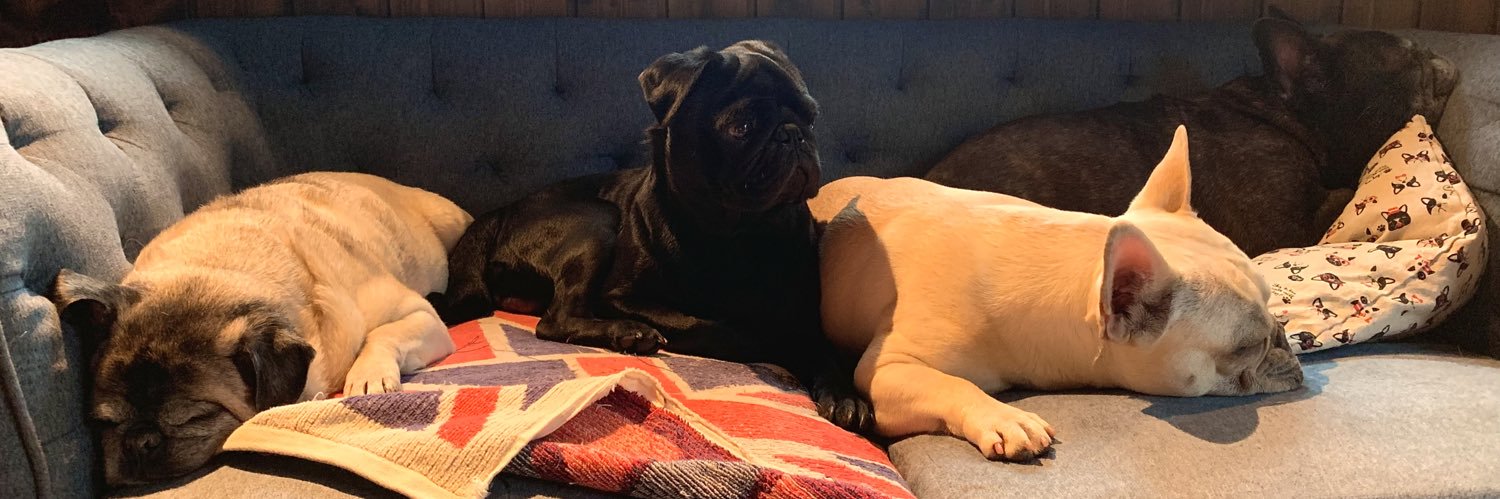 FernandaAmitla banner