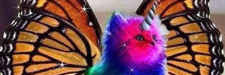 MissCatanzaro's profile banner image