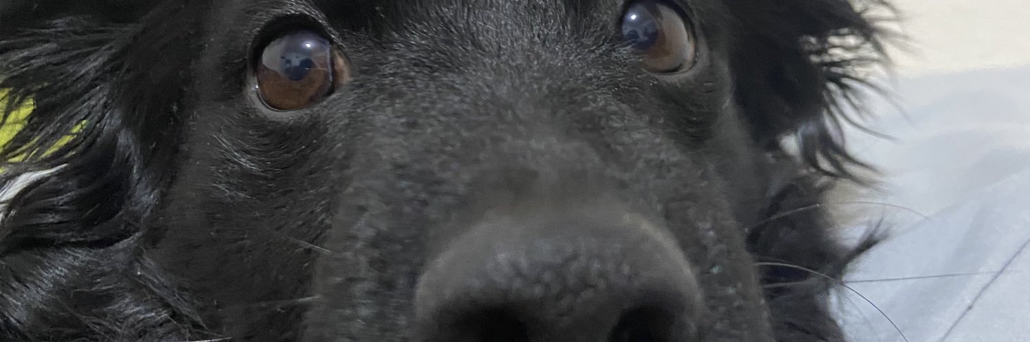 Gunst_15's profile banner image