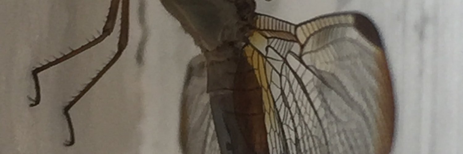 GUSORT's profile banner image