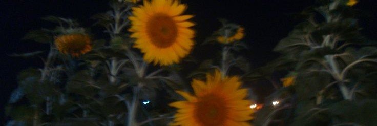 ch_sngchlie's profile banner image
