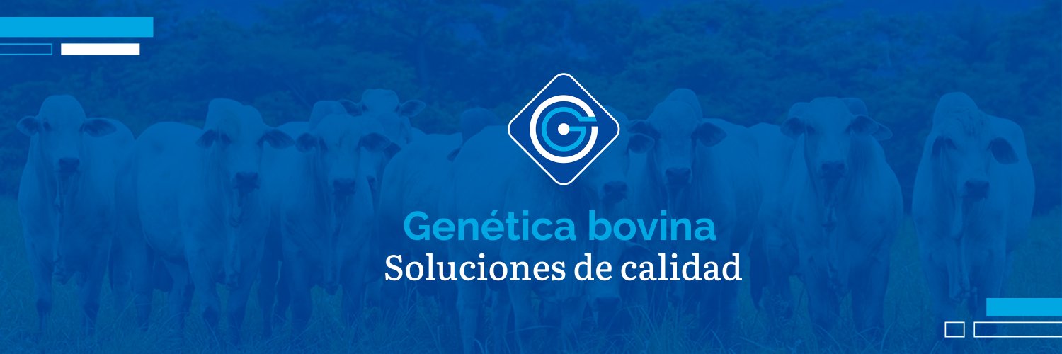 genetyxsa's profile banner image