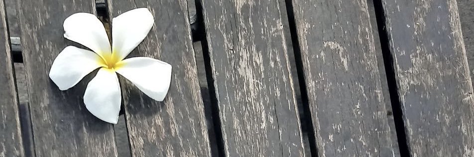 🍅 banner