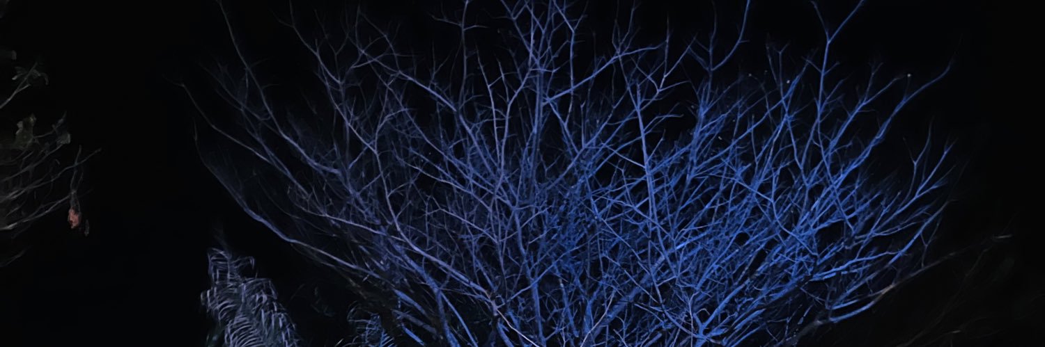 abcdenii's profile banner image