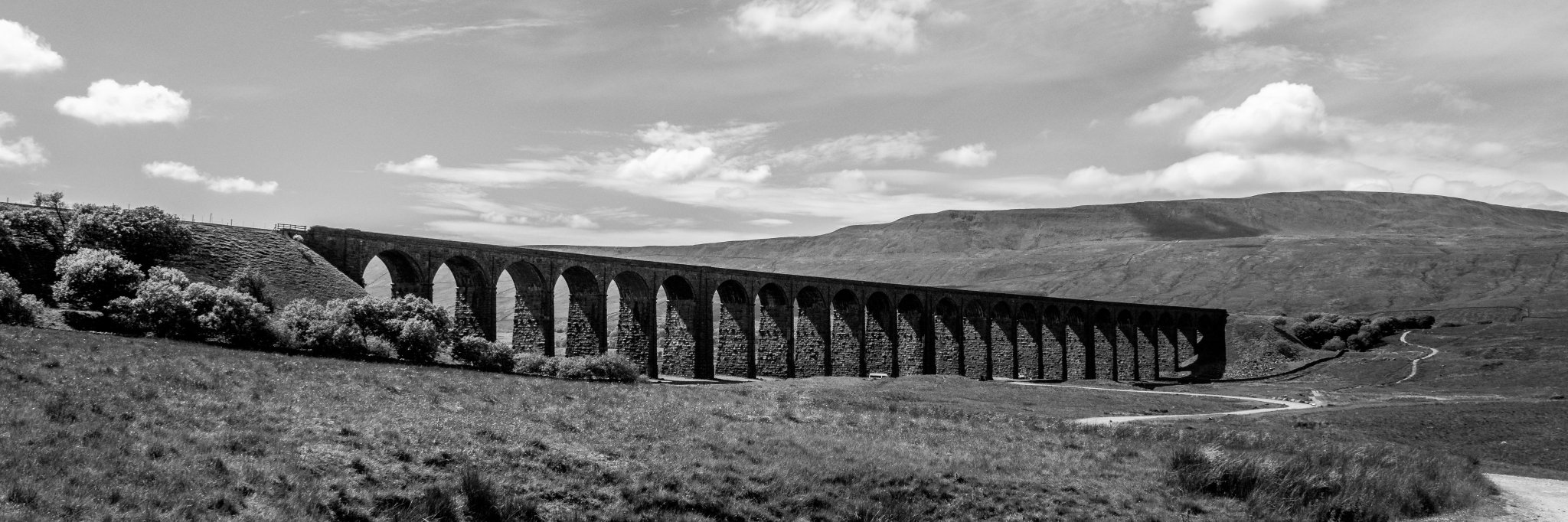 Wakefield1949's profile banner image