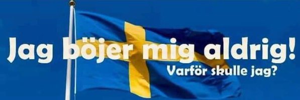 🇸🇪 Ett starkt Sverige's banner