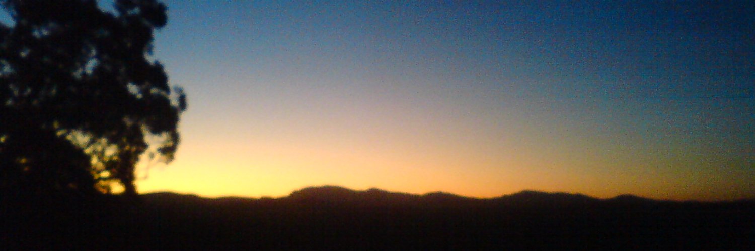 Mervi banner