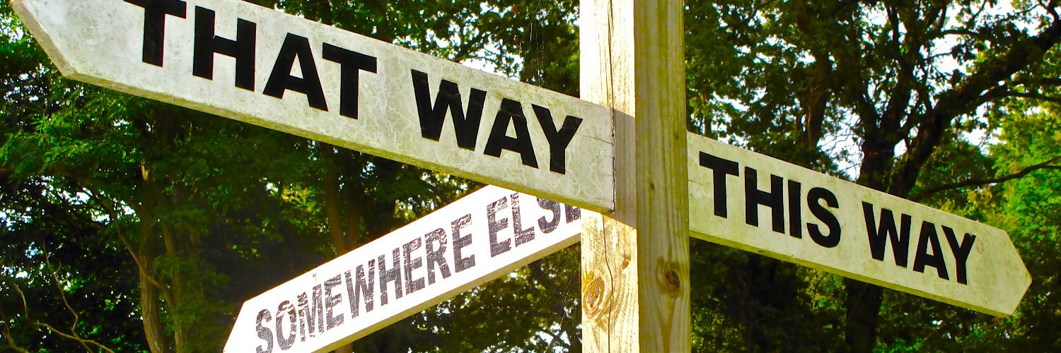 Dr. David A. Weiman banner