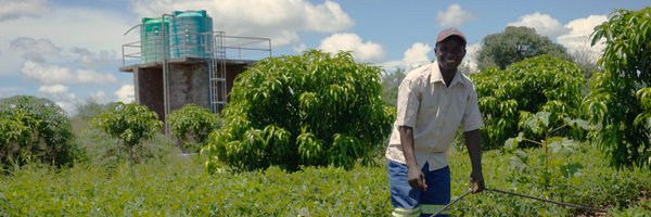 Declaration_FWF Profile Banner