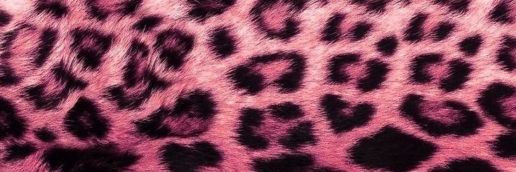 kahtchyaa's profile banner image