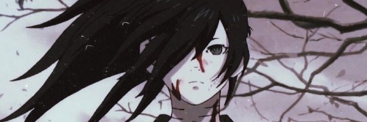 Ownahfag's profile banner image
