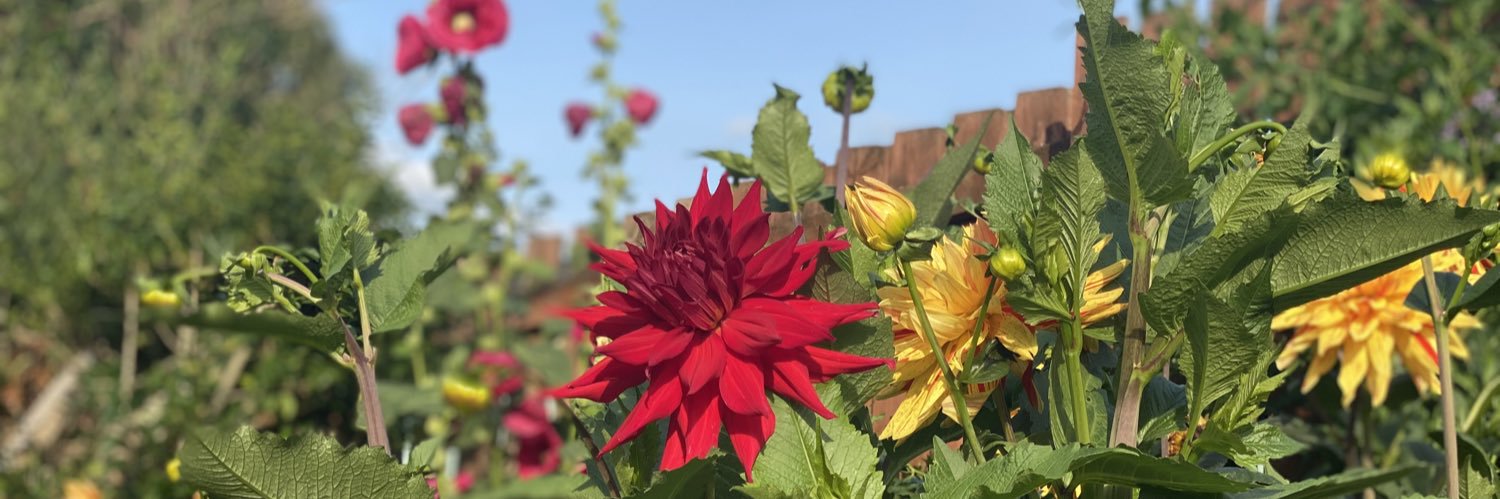 𝙅𝙤𝙝𝙣 banner