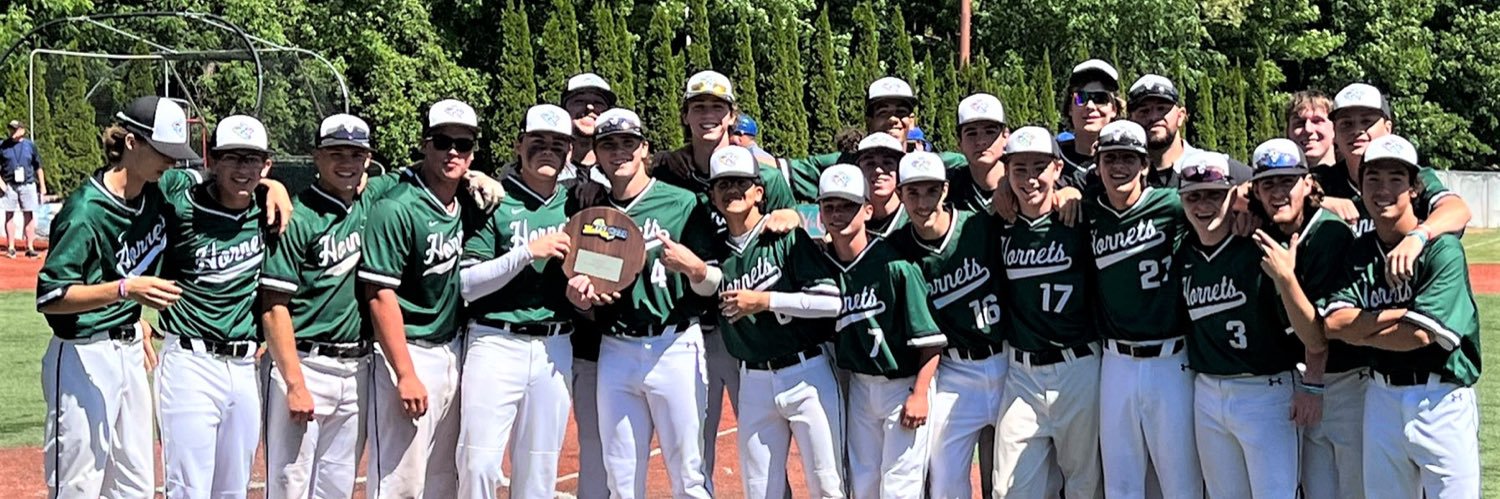 Fayetteville-Manlius Baseball banner