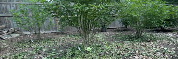 WeedVet Profile Banner