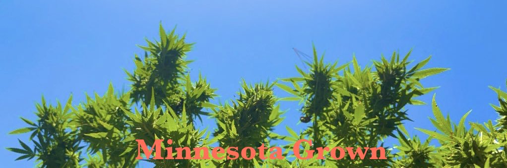Vet 420 banner
