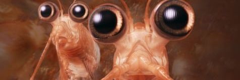 BigKrill_'s profile banner image