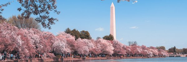 DPSTEV Profile Banner