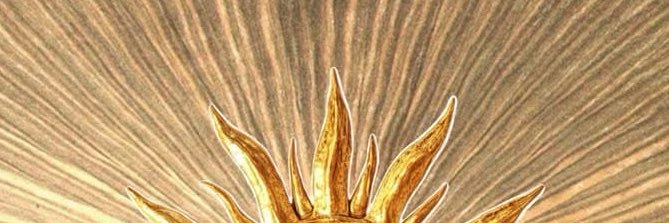 nessitapuntowav's profile banner image