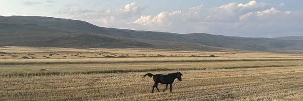 Sakinlesbisuic Profile Banner