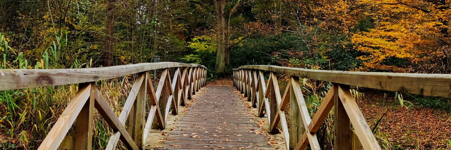 Becka_Kinchin's profile banner image