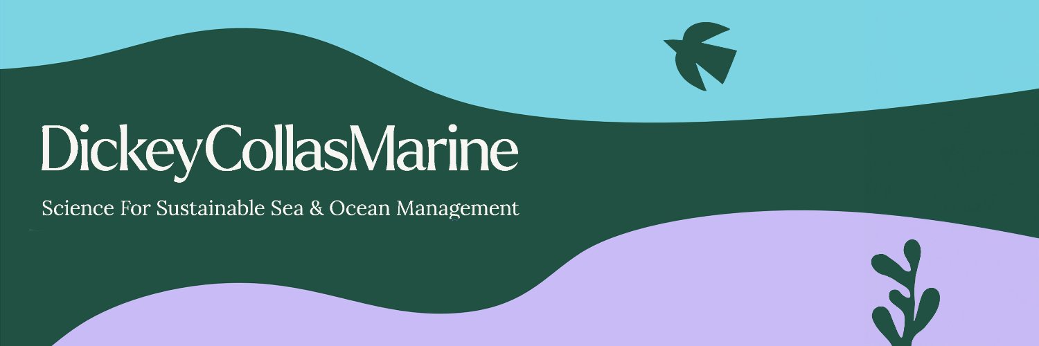 Mark Dickey-Collas 🏳️‍🌈 banner