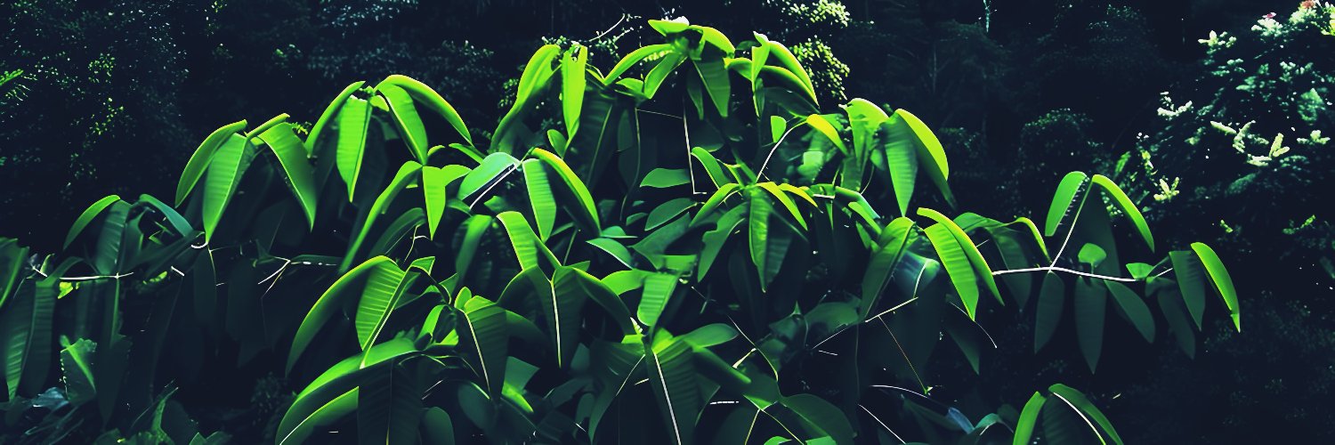 🌱 DJΞRFY 🚀 banner