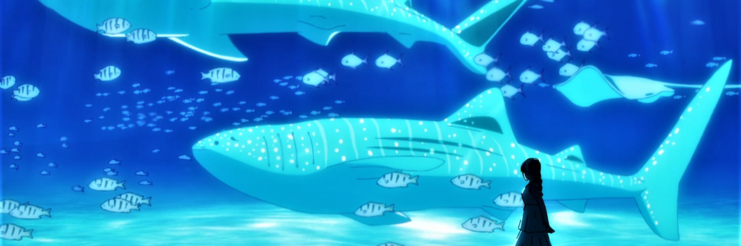 celihslr's profile banner image