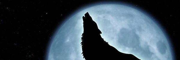Wolf Soldya banner