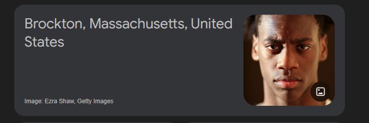 ✧.* | ☘️🐦‍⬛ banner