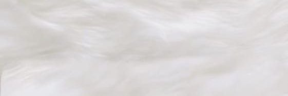 𝘕𝘰𝘯⋆°｡✩ banner