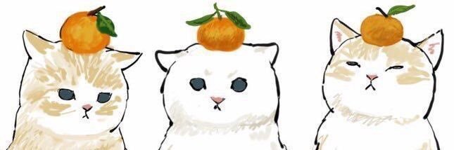 killua akgae's banner