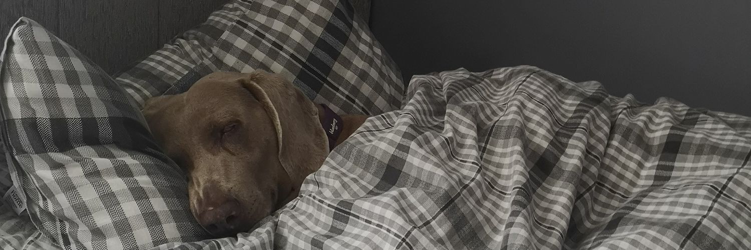 bradbell__'s profile banner image