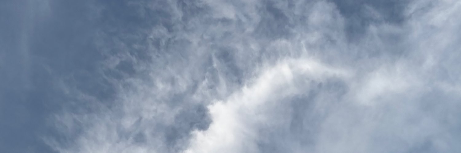 TheShannaBerry's profile banner image