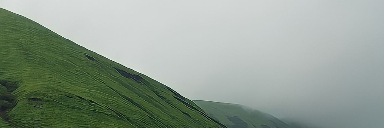 laur banner