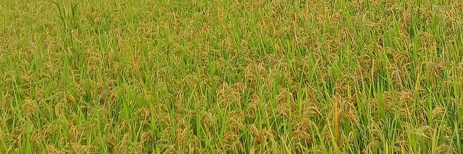 அருண் banner