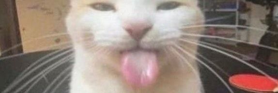 closurwe's profile banner image