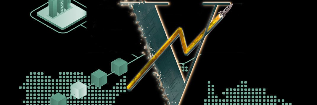 VEFI Network banner