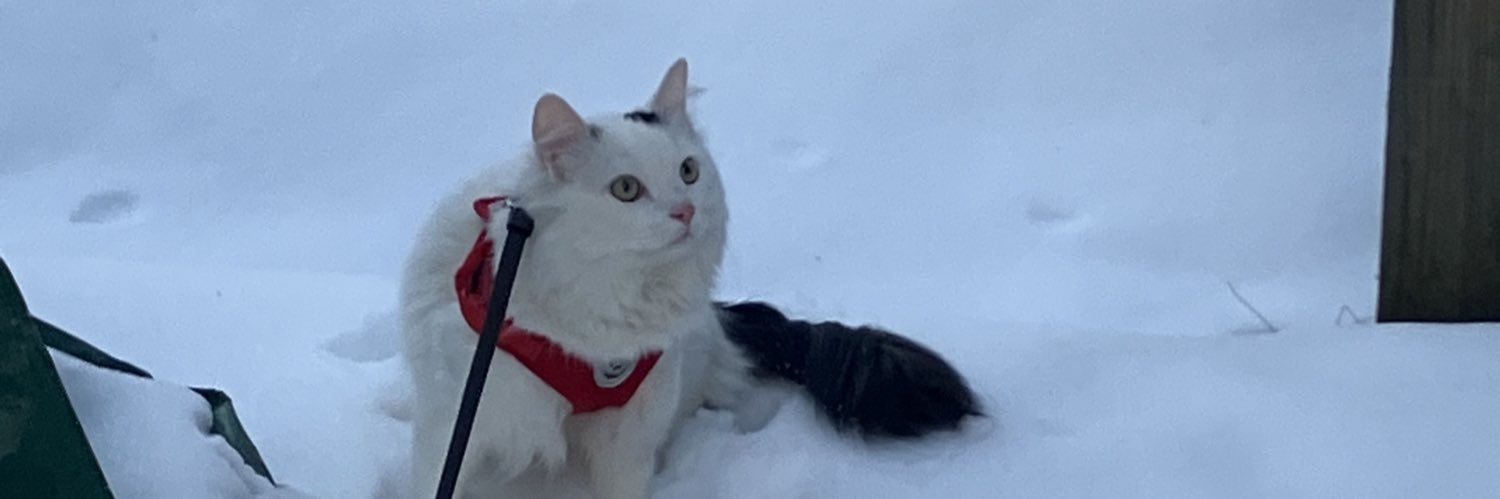 CoachJB John Bell banner