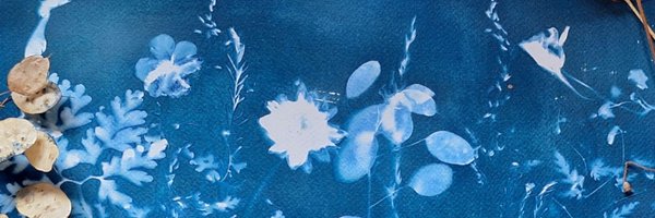 wlhaydock Profile Banner