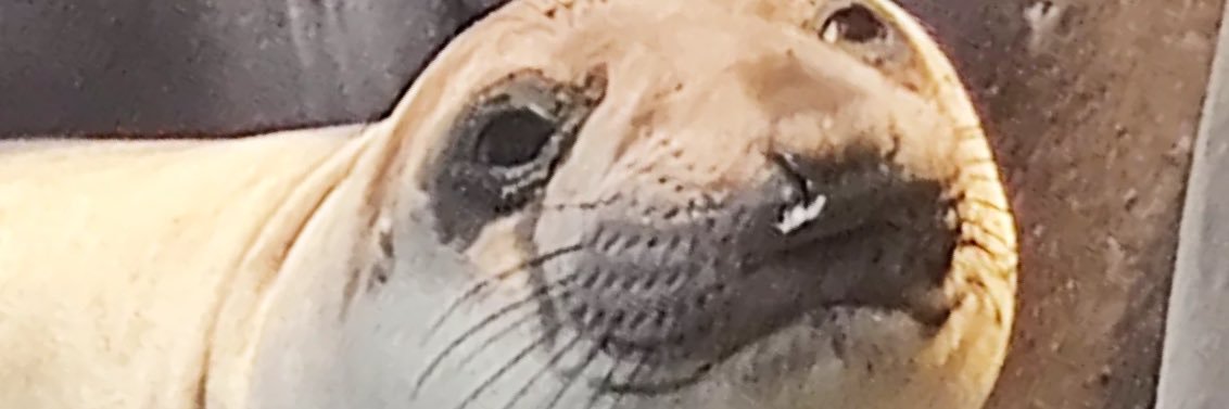 אייסמן banner