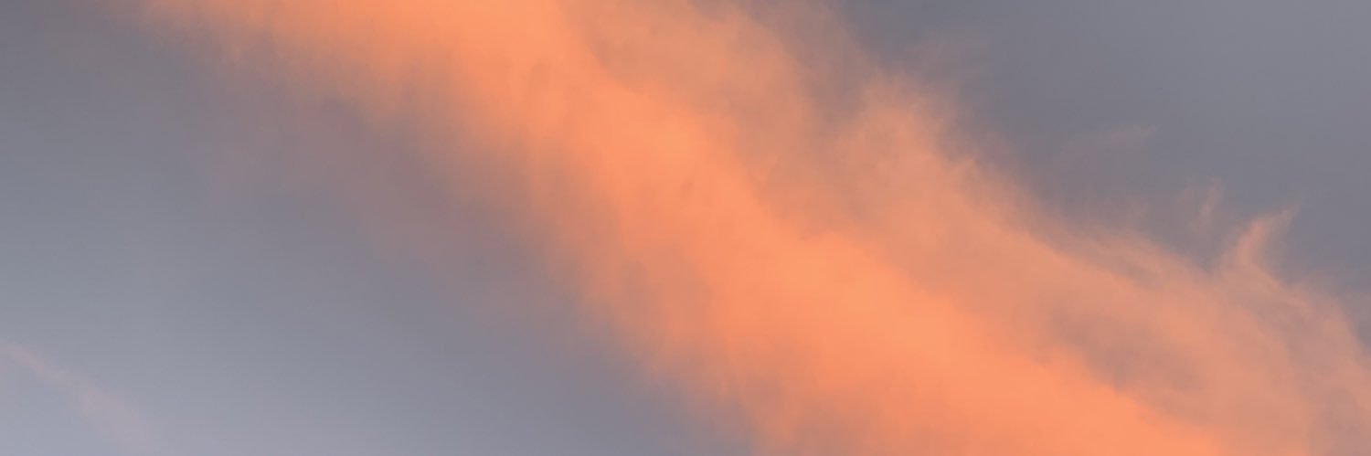 _annieernst's profile banner image