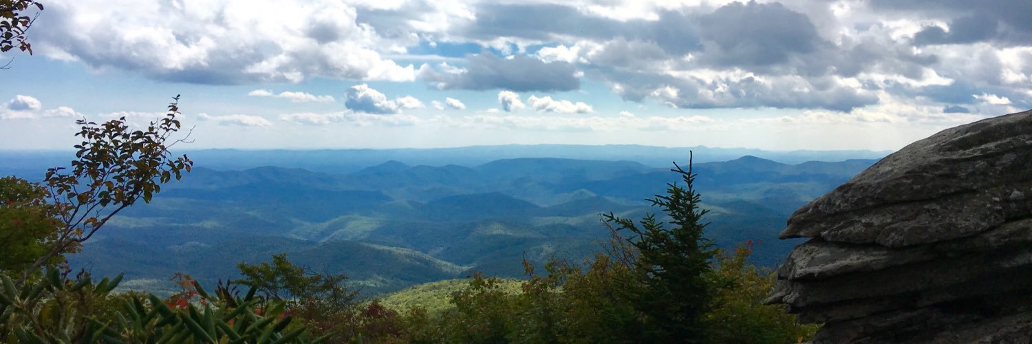 MeredithSnoddy's profile banner image