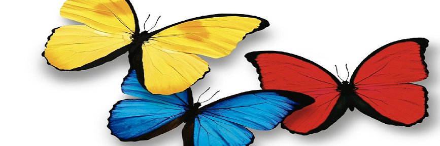 Ma Mélida Narváez 🫶 🇨🇴🫶 banner